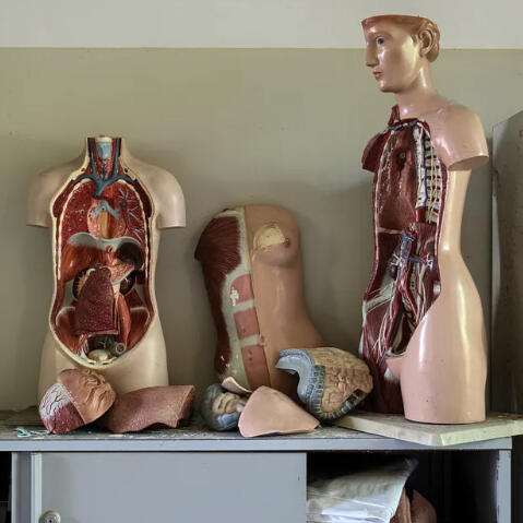 Motion to Adjourn, The Haven (2021)