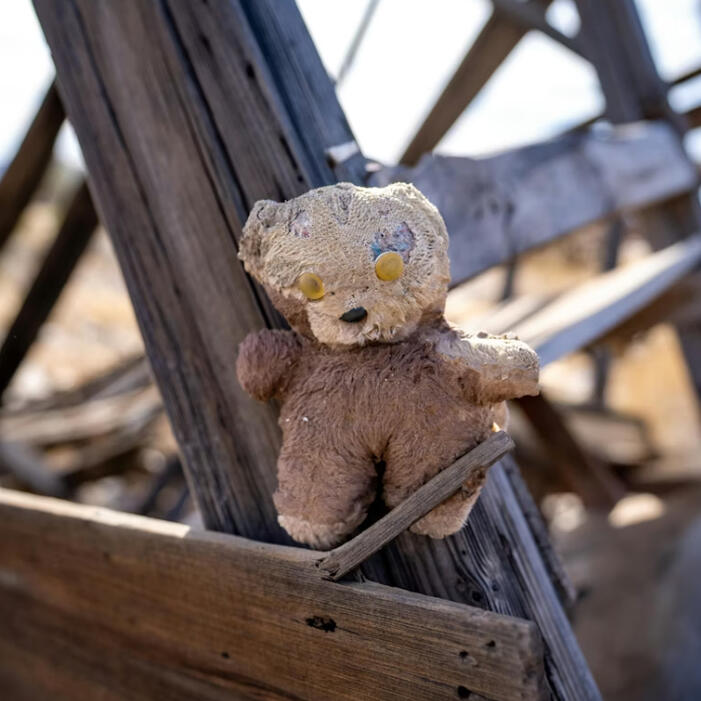 How the Cactus Got Its Name, Gone Lawn (2025)