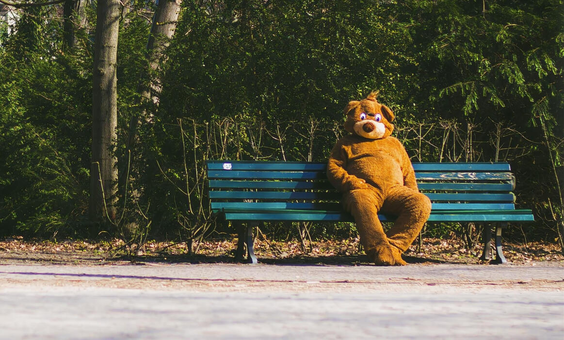 Mr. Turlington's Grizzly Encounter, Defenestration (2021)