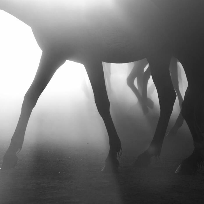 City of Rocks, Kinpaurak (2025)