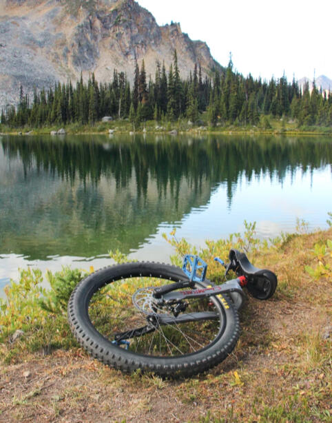 Four, Night Picnic (forthcoming)