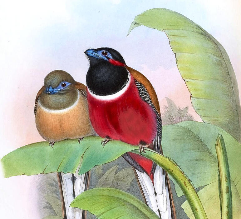 Seven Stories for Now and Later, The Future Fire (2025)